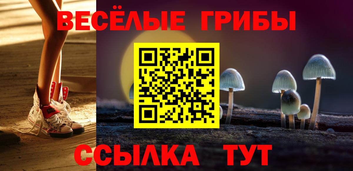 Владикавказ  Галлюциногенные грибы GOLDEN TEACHER  Вход с VPN 