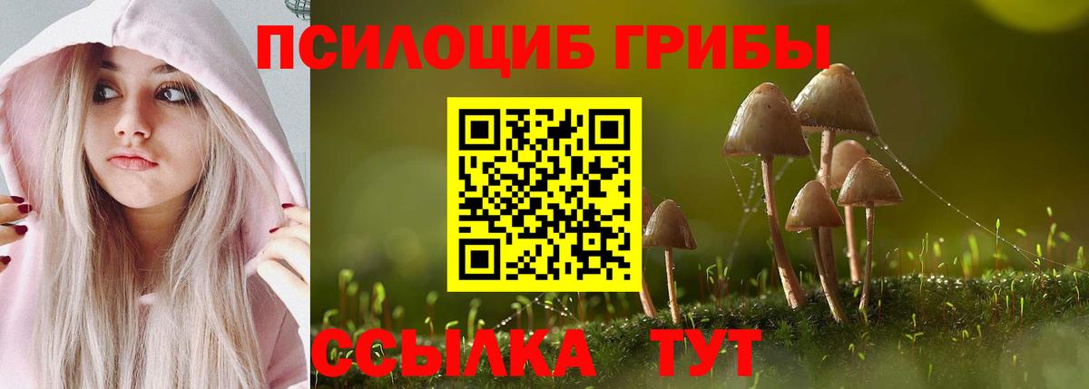 МЕФ Владикавказ